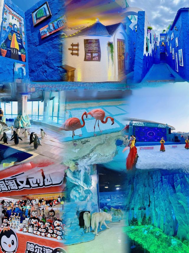 企鵝巡遊突然停喺我面前！跟住嘅動作令全場尖叫…