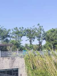 上海周邊！住進園林別墅邂逅太湖浪漫