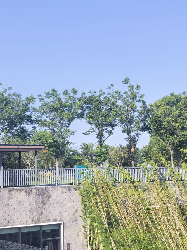 上海周邊！住進園林別墅邂逅太湖浪漫
