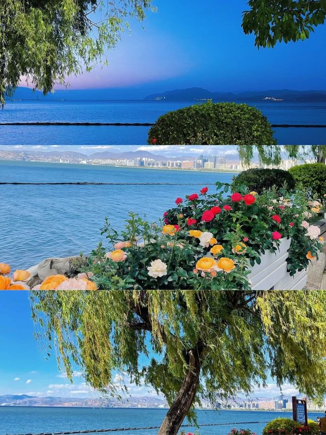 洱海：探索雲南高原嘅翡翠明珠