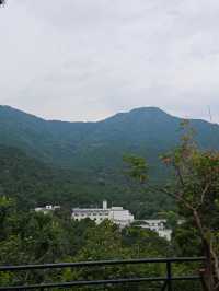 靜宜園裡四處轉轉之探訪青末了——