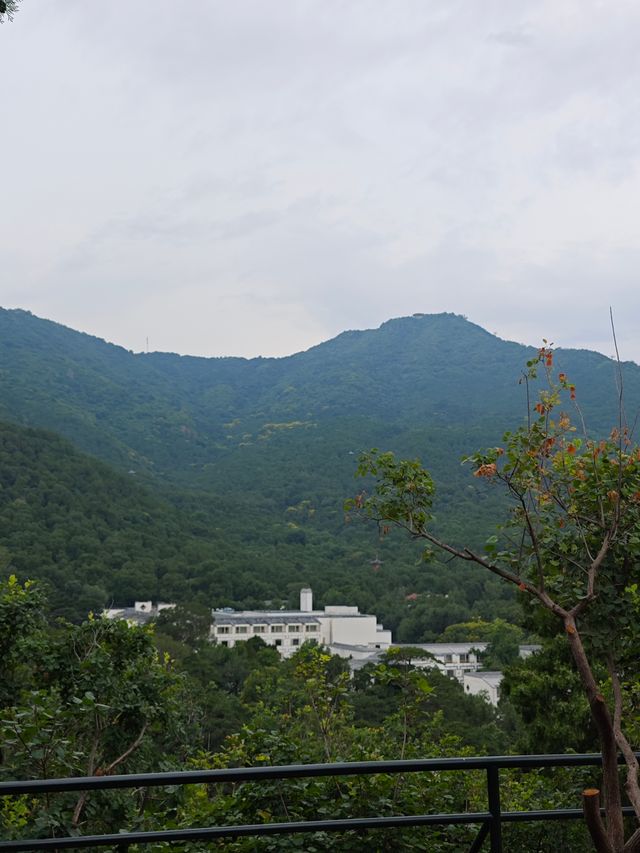 靜宜園裡四處轉轉之探訪青末了——