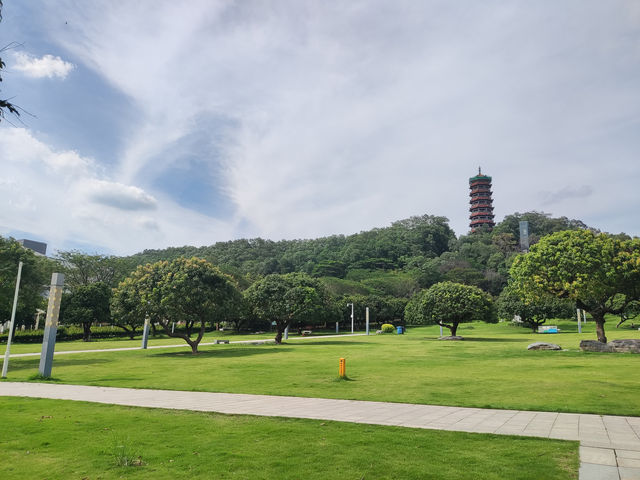 在蔚徕，收藏深圳的溫柔切片