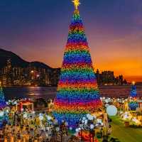 🎄聖誕唔知去邊好？香港呢6個打卡位靚到爆！