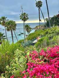 Laguna Beach 絕美打卡攻略！隨手拍都係大片視覺感