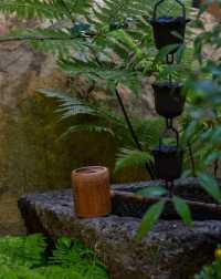 落雨必去！被園林茶室治癒嘅神仙時刻
