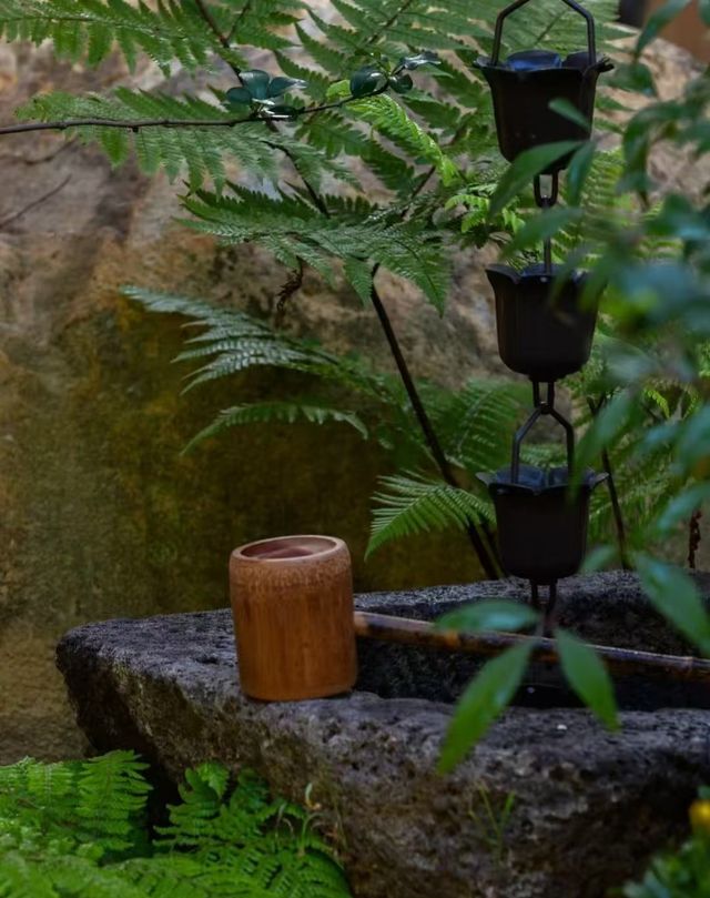 落雨必去！被園林茶室治癒嘅神仙時刻