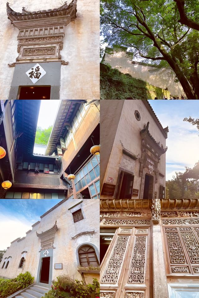 婺源篁嶺 | 一站式吃喝玩樂全攻略