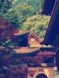 禅源寺（ぜんげんじ）完全ガイド　心を癒す古刹体験​