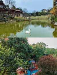 金頂日出瞓住睇