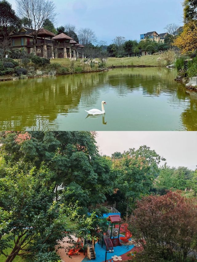 金頂日出瞓住睇