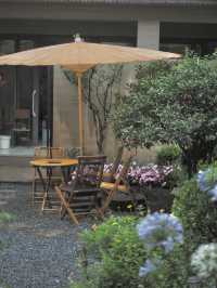 7月雨季麗江 乘雲不備偷拍雪山