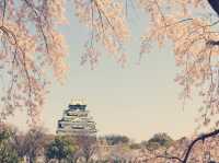 **【穿越時空的浪漫！大阪城公園親身體驗全記錄】**  