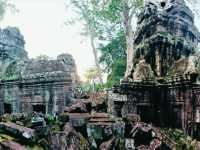 Ta Prohm: The Enigmatic Temple Embraced by Nature