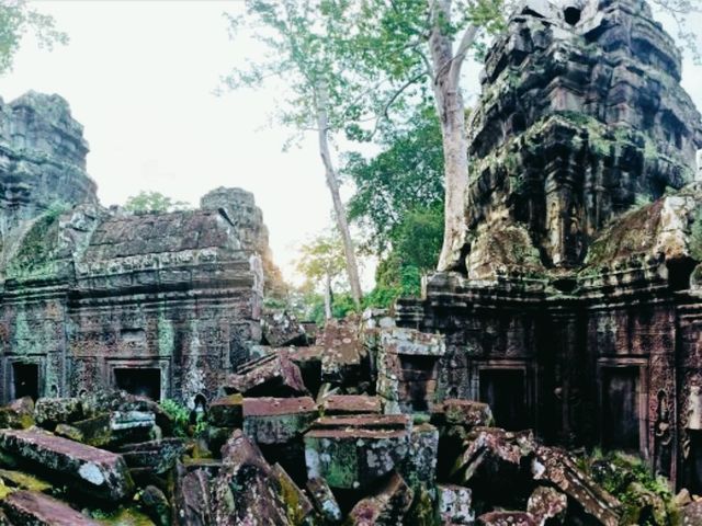Ta Prohm: The Enigmatic Temple Embraced by Nature