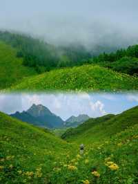 今年桂林小黃花嘅天花板：茶坪水庫