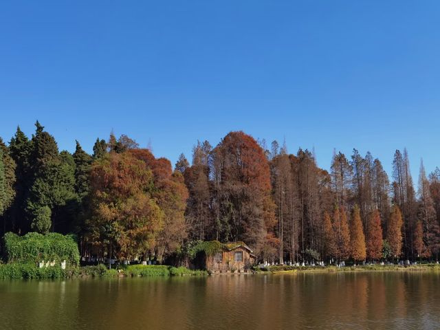 昆明漫遊｜滇池畔邂逅紅嘴鷗，春日花海暴走指南！  必去理由 滇池頂流！西伯利亞精靈來赴約啦～ 