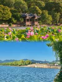 當年課本裏嘅「西湖十景」，而家我哋終於可以全部打卡啦？