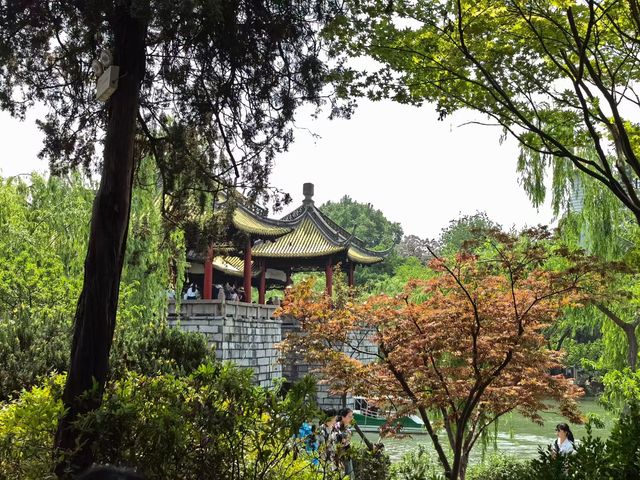 ## 隱於市井的煙火：揚州三日漫遊指南  揚州不是用來"打卡"的。這座被大運河滋養千年的城市，最適合