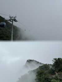 莽山索道直達仙境！雲海之上漫步，呢份攻略收好唔該！