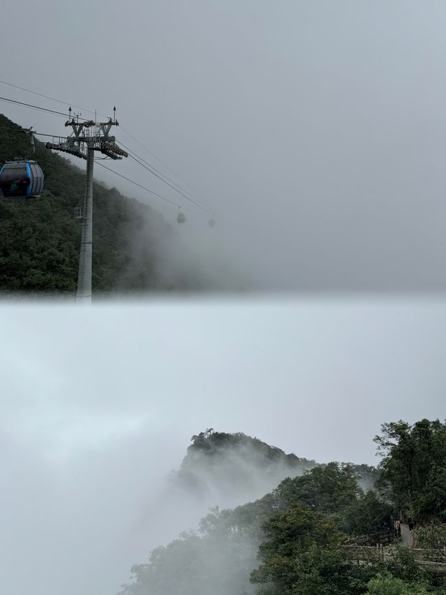 莽山索道直達仙境！雲海之上漫步，呢份攻略收好唔該！