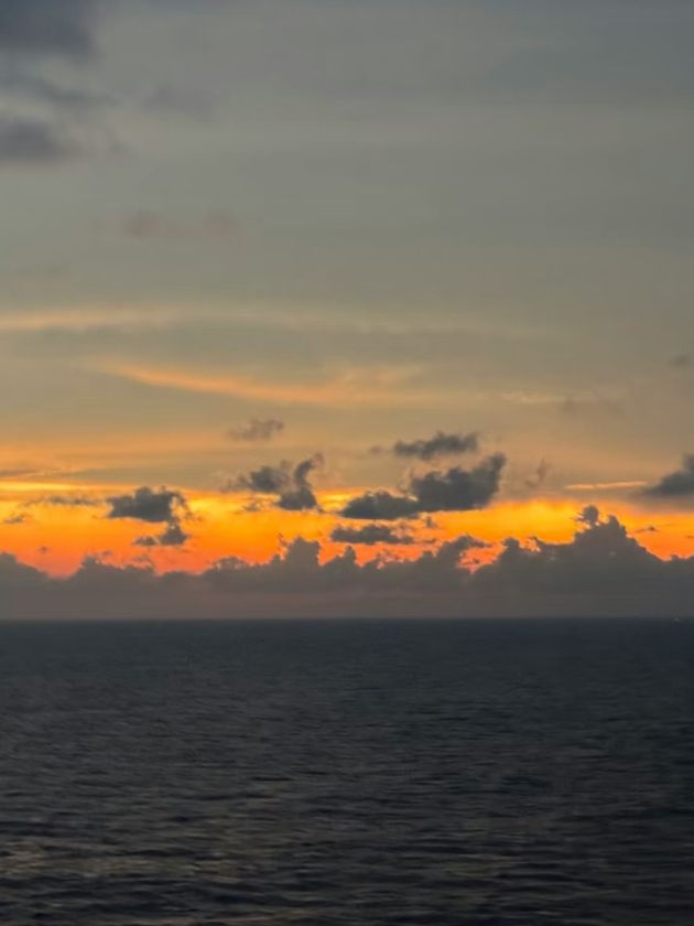 🛳️ 真正的躺平式旅行，懶人福音！