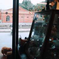 【得八咖啡公園】在清凈寺背後，和狗狗一起喝咖啡