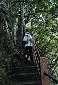 福州森林公園全攻略