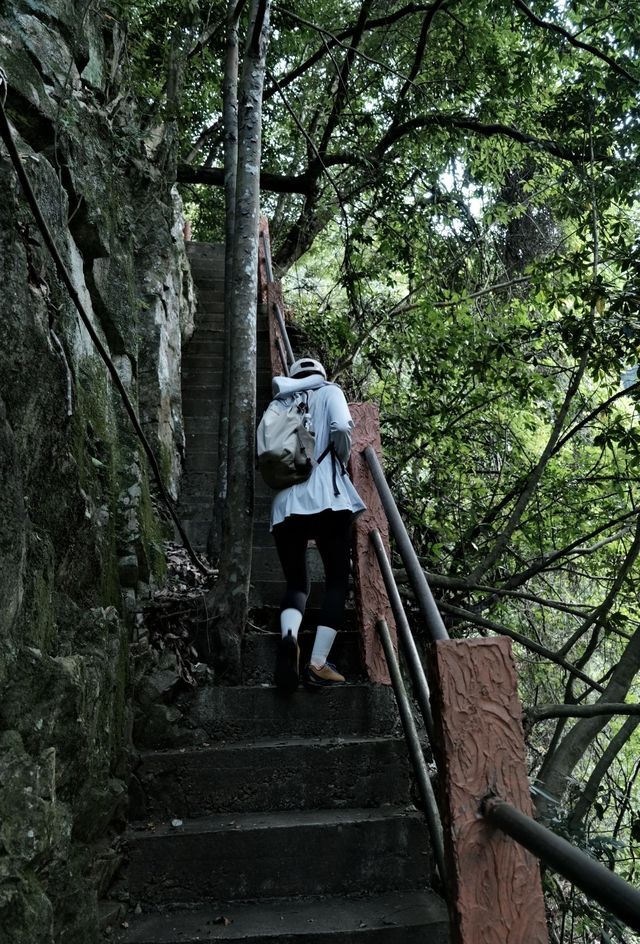 福州森林公園全攻略