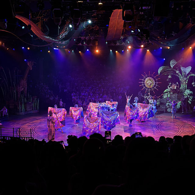 【香港ディズニー】おすすめ室内エンターテインメント フェスティバルオブザライオンキング🦁