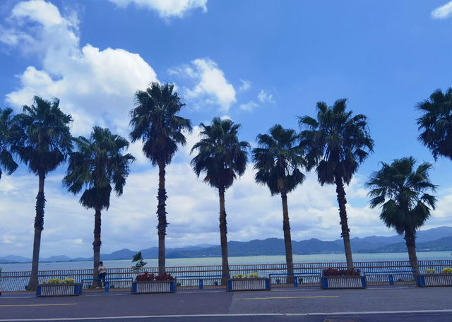 寧波東錢湖彷彿到了國外，是小加州