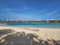 A Slice of Paradise: Adaaran Prestige Vadoo Review