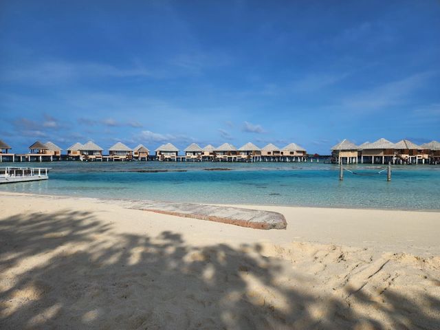 A Slice of Paradise: Adaaran Prestige Vadoo Review