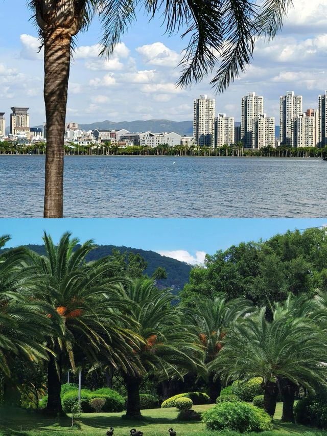 彌勒必打卡！湖泉生態園超全遊玩攻略
