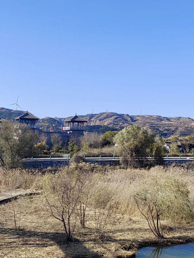鹽澤映日‧洽川濕地的悠然畫卷 鹽澤映日‧洽川濕地的悠然畫卷