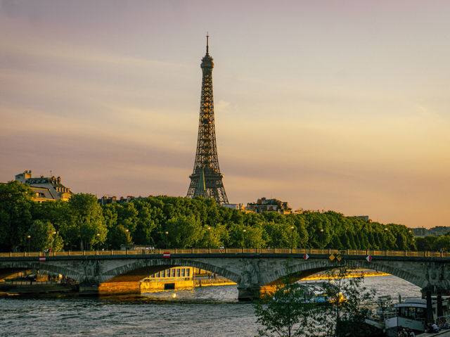 The Eiffel Tower in Paris! 🇫🇷✨