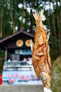 梅峰島 此刻的山水才是國之絕色
