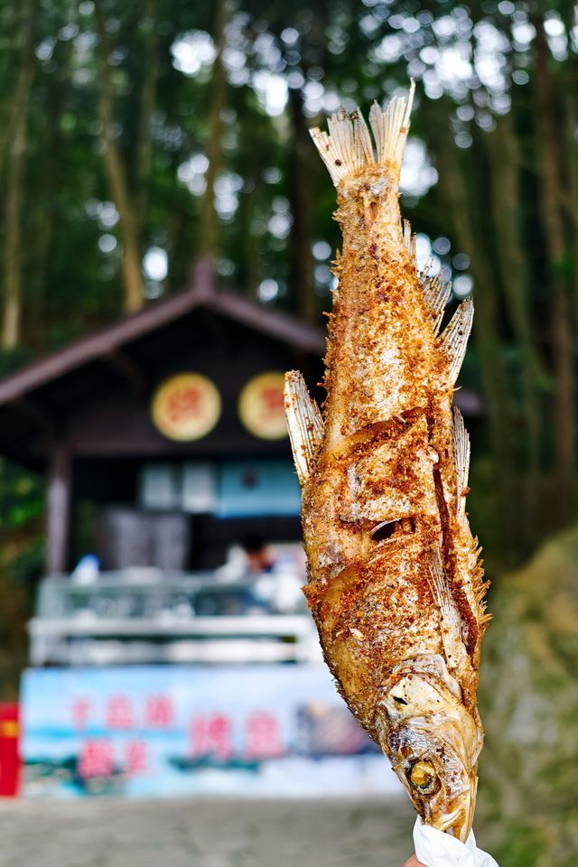 梅峰島 此刻的山水才是國之絕色