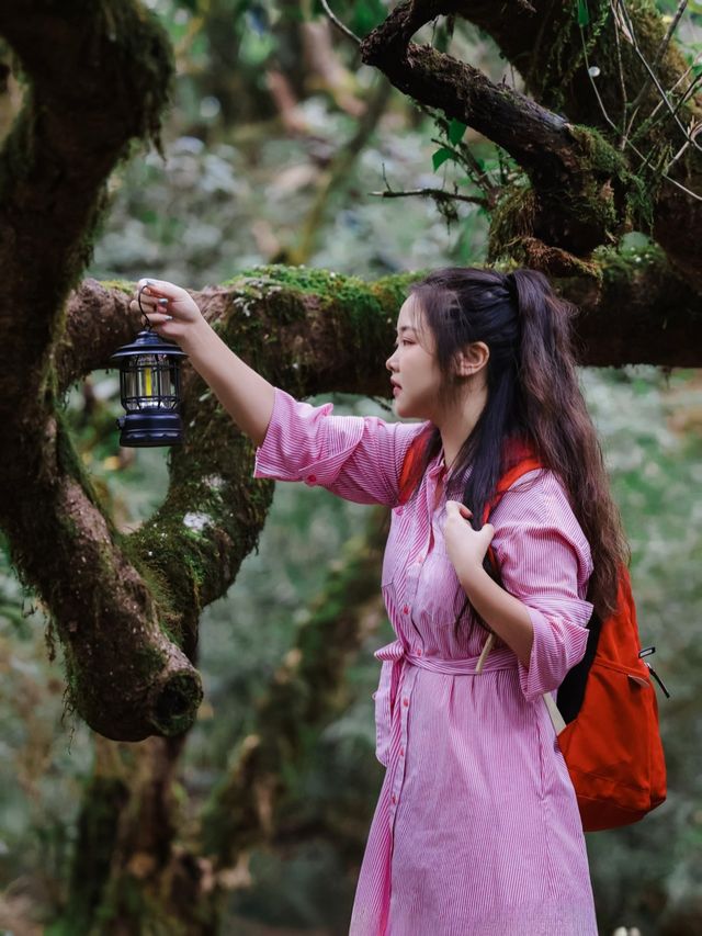 在貓兒山，解鎖「華南之巔」的N種寶藏玩法
