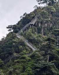 莽山住這-步行到漂流+近森林公園太省心了