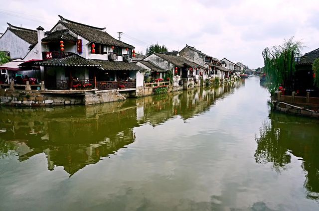 楓涇午後：水鄉的慢時光
