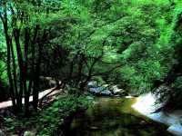 歡迎來少華山旅遊打卡