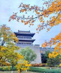 古城煙火氣 定格在磚瓦之間   當晨光漫過7.24公里的明代城牆，青磚黛瓦間便飄起刀削面的香氣，遠處