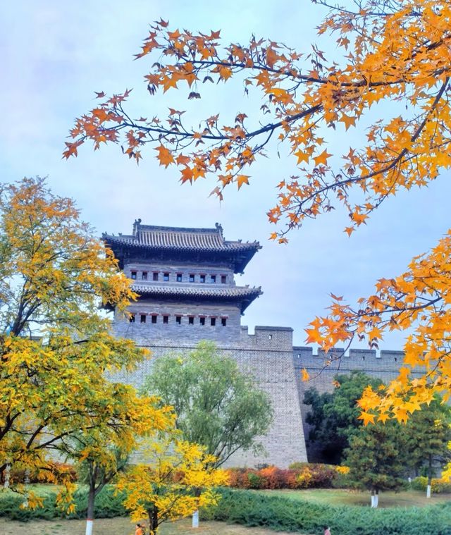 古城煙火氣 定格在磚瓦之間   當晨光漫過7.24公里的明代城牆，青磚黛瓦間便飄起刀削面的香氣，遠處