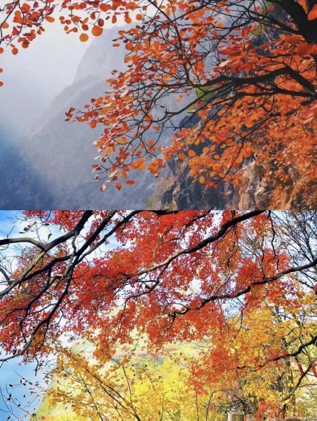 西安周邊秋遊爆衝！鄭國渠秋日限定美景！