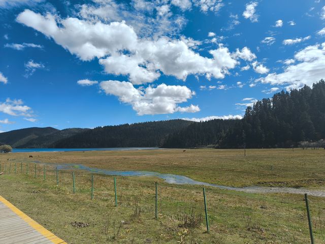 雲南香格里拉必去！普達措國家公園超全攻略