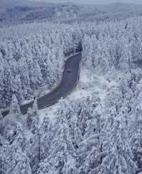 重慶下雪了！衝！仙女山2日遊保姆級攻略！