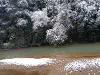 重慶下雪了！衝！仙女山2日遊保姆級攻略！