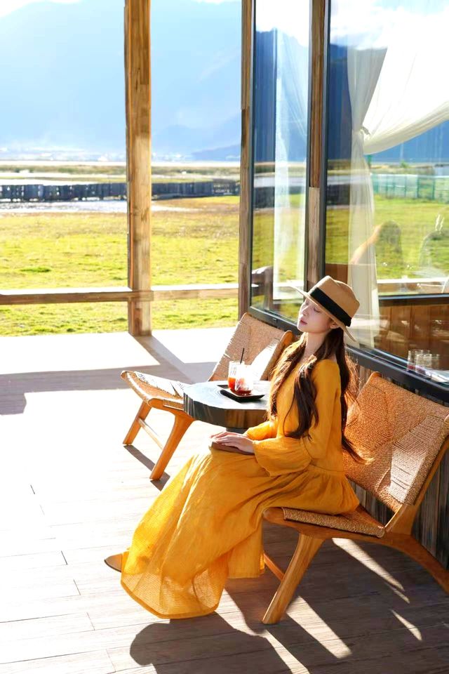 藏地牧場萌寵治癒之旅
