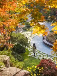 還有1個月｜魔都市區的調色盤公園即將上線